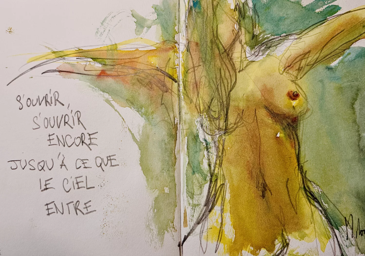 Dessin de live, Dernier live