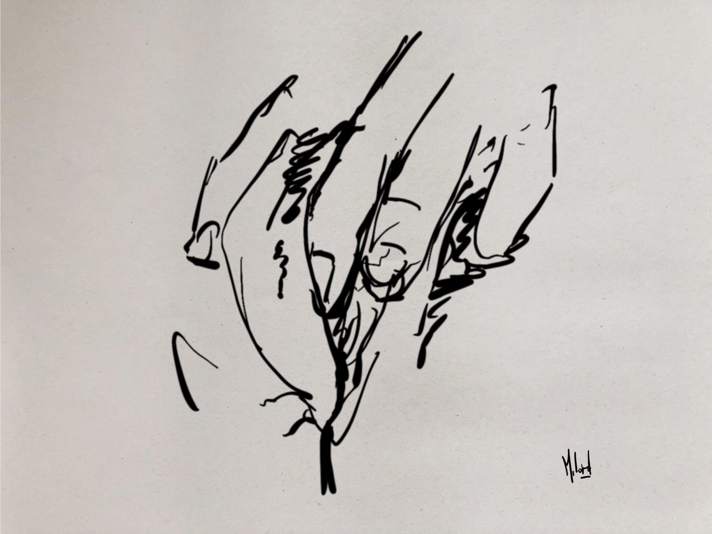 Dessin de live, Gros plans