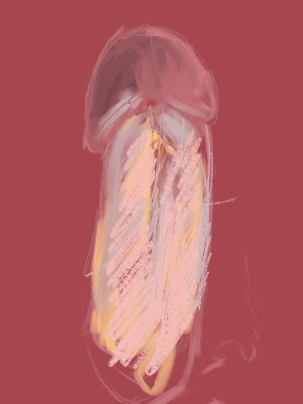 Dessin de live, Gros plans