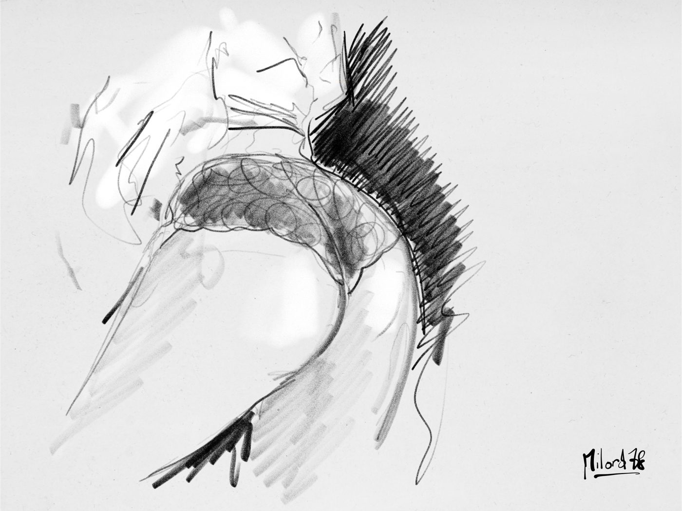 Dessin de live, Gros plans
