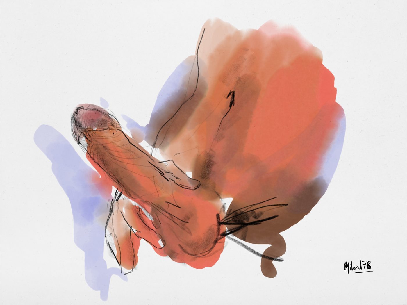 Dessin de live, Gros plans