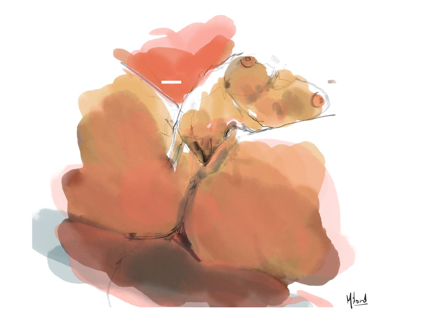 Dessin de live, Gros plans