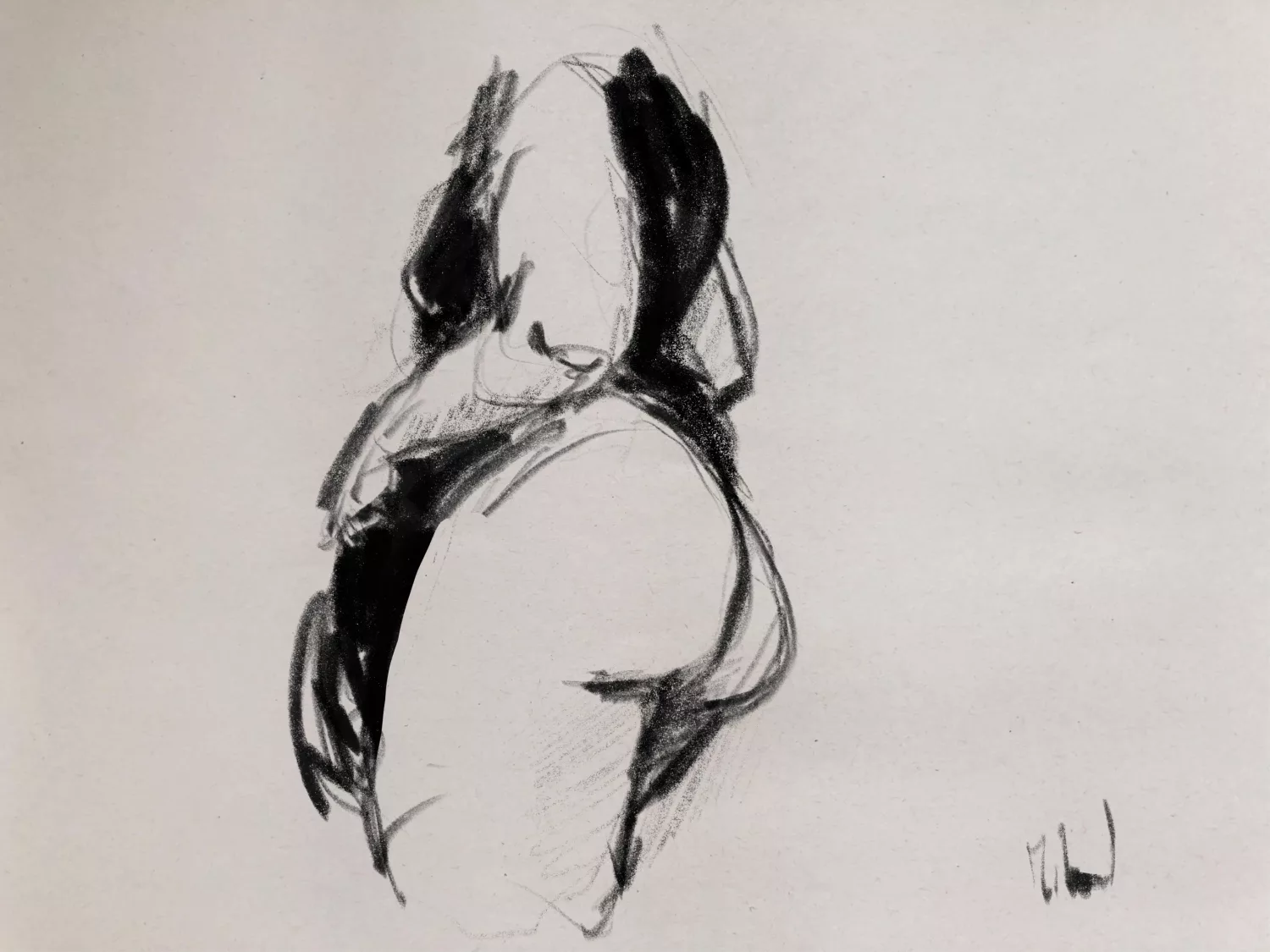 Dessin de live, Dernier live