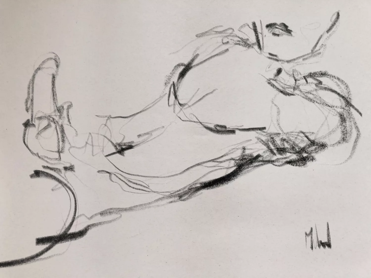 Dessin de live, Dernier live