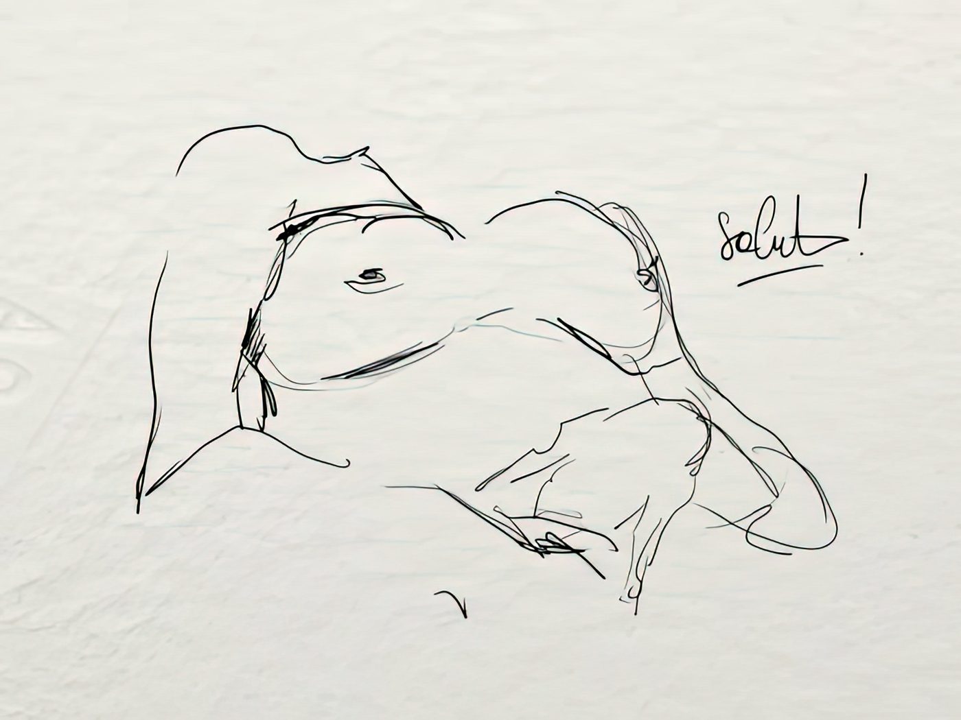 Dessin de live, La beauté du geste